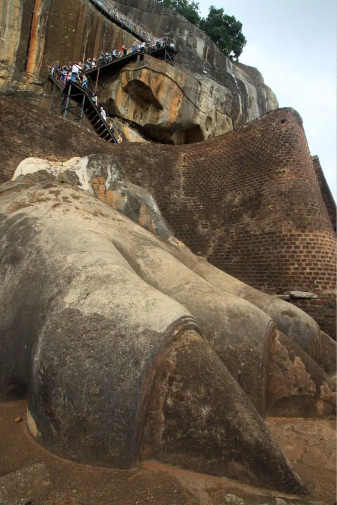 Les urpes del Lleó de Palau